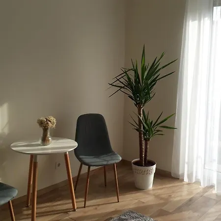 Világos, Kellemes Lakás, Jó Közlekedéssel Budapest