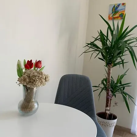 Apartament Vilagos, Kellemes Lakas, Jo Koezlekedessel *